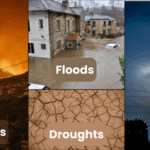 disaster relief assistance for floods, hurricanes, storms, wildfires and more.